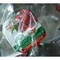 盛香珍椰果果凍(荔枝味)/500克