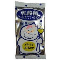 日本迷你果汁糖(乳酸菌)(20gX30包入)